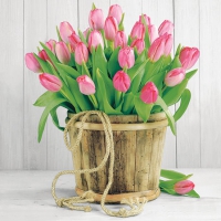 Servietten 25x25 cm - Tulips In Bucket Servietten 25x25 cm - Tulips In Bucket