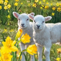 Servietten 25x25 cm - Sweet Lambs Servietten 25x25 cm - Sweet Lambs