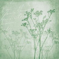 Servietten 25x25 cm - Floral Harmony Green