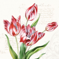Servietten 25x25 cm - Classic Tulips Servietten 25x25 cm - Classic Tulips