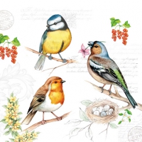 Servietten 25x25 cm - Birds On Twig
