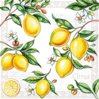 Servietten 25x25 cm - Citrus
