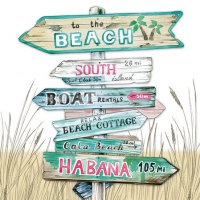 Servietten 25x25 cm - Road Signs Sand