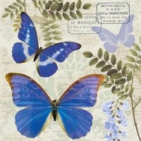 Servietten 25x25 cm - Blue Morpho
