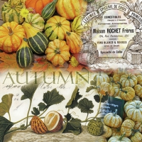 Servietten 25x25 cm - Autumn Pumpkins