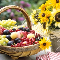 Servietten 25x25 cm - Sunny Fruit