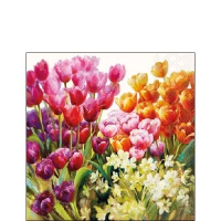 Servietten 25x25 cm - Tulips