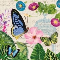 Servietten 25x25 cm - Romantic Pure