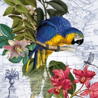 Servietten 25x25 cm - Ara