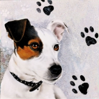 Servietten 25x25 cm - Jack Russel Servietten 25x25 cm - Jack Russel