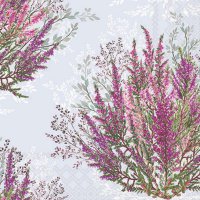 Servietten 25x25 cm - Calluna Servietten 25x25 cm - Calluna