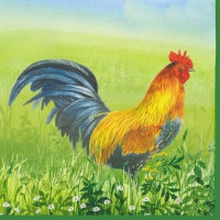 Servietten 33x33 cm - Proud Rooster