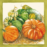 Servietten 33x33 cm - Zucca