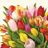 Servietten 33x33 cm - Colourful Tulips Servietten 33x33 cm - Colourful Tulips
