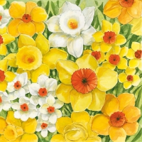 Servietten 33x33 cm - Signs Of Spring Servietten 33x33 cm - Signs Of Spring