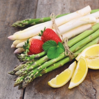 Servietten 33x33 cm - Fresh Asparagus