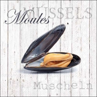 Servietten 33x33 cm - Moules