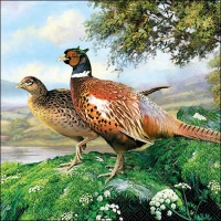 Servietten 33x33 cm - Pheasant