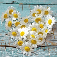 Servietten 33x33 cm - Heart of Daisies Servietten 33x33 cm - Heart of Daisies