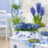 Servietten 33x33 cm - Purple Spring Servietten 33x33 cm - Purple Spring