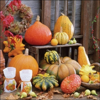 Servietten 33x33 cm - Pumpkins Picture Servietten 33x33 cm - Pumpkins Picture