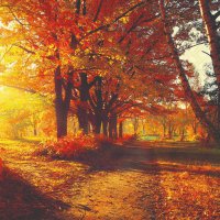 Servietten 33x33 cm - Autumn Park Servietten 33x33 cm - Autumn Park