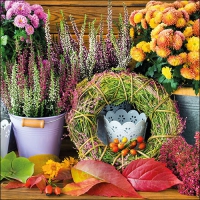 Servietten 33x33 cm - Autumn Feeling Servietten 33x33 cm - Autumn Feeling