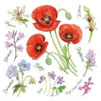Servietten 33x33 cm - Poppy Harmony Servietten 33x33 cm - Poppy Harmony