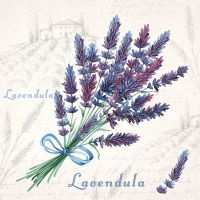 Servietten 33x33 cm - Lavendula