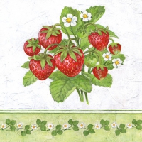 Servietten 33x33 cm - Season Fruit Servietten 33x33 cm - Season Fruit