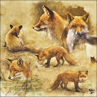 Servietten 33x33 cm - Portraits Of Foxes