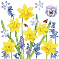 Servietten 33x33 cm - Narcissus Love Servietten 33x33 cm - Narcissus Love