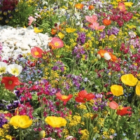 Servietten 33x33 cm - Wildflowers 