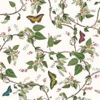 Servietten 33x33 cm - Butterfly Paradise Servietten 33x33 cm - Butterfly Paradise