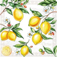 Servietten 33x33 cm - Citrus