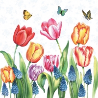 Servietten 33x33 cm - Tulips & Muscari