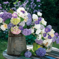 Servietten 33x33 cm - La Nostalgie