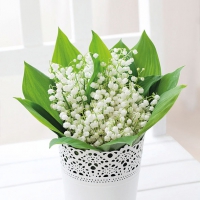 Servietten 33x33 cm - Bunch Of Lily Servietten 33x33 cm - Bunch Of Lily