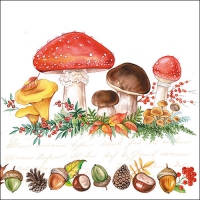 Servietten 33x33 cm - Mushrooms Servietten 33x33 cm - Mushrooms
