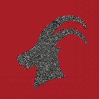 Servietten 33x33 cm - Capricorn Red