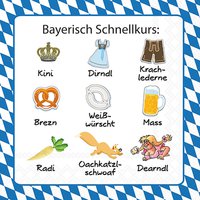 Servietten 33x33 cm - Bayerisch Schnellkurs