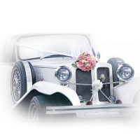 Servietten 33x33 cm - Wedding Car Servietten 33x33 cm - Wedding Car