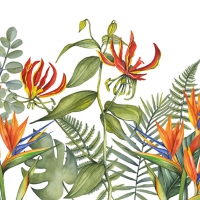 Servietten 33x33 cm - Tropical Flowers White