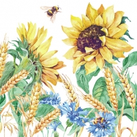 Servietten 33x33 cm - Sunflower And Wheat White