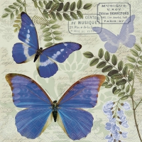 Servietten 33x33 cm - Blue Morpho