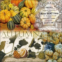 Servietten 33x33 cm - Autumn Pumpkins