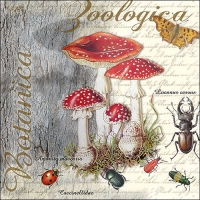 Servietten 33x33 cm - Fly Agaric And Beetle Servietten 33x33 cm - Fly Agaric And Beetle