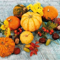 Servietten 33x33 cm - Happy Harvest