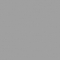 Servietten 33x33 cm - Uni Silver Servietten 33x33 cm - Uni Silver