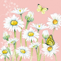 Servietten 33x33 cm - Daisy Coral